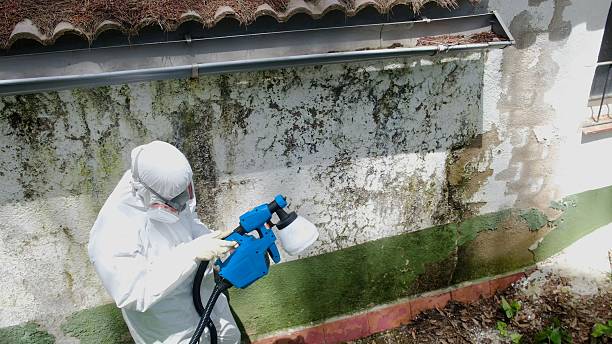Trusted Mold Remediation service in Hope Mills, NC - Cheap Mold Removal